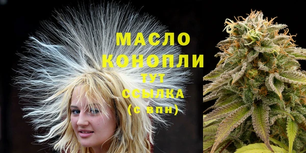 амф Вязьма