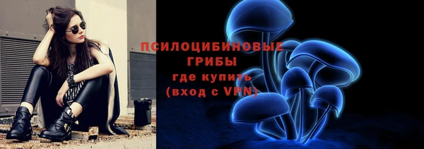 мдпв Вязники