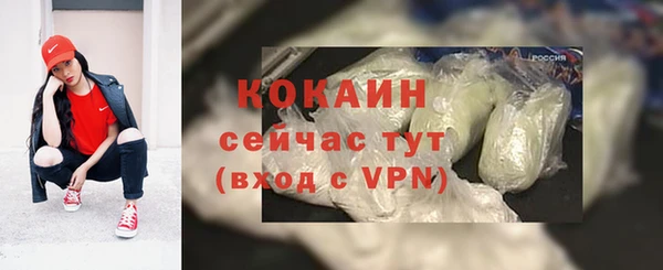 ГАЛЛЮЦИНОГЕННЫЕ ГРИБЫ Вяземский