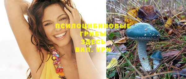 ГАЛЛЮЦИНОГЕННЫЕ ГРИБЫ Вяземский