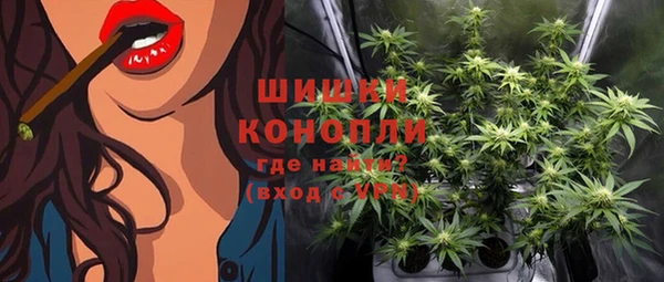 ГАЛЛЮЦИНОГЕННЫЕ ГРИБЫ Вяземский