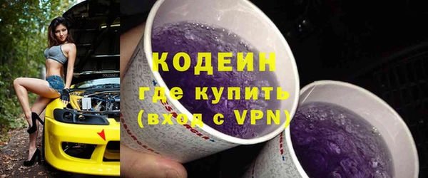 ГАЛЛЮЦИНОГЕННЫЕ ГРИБЫ Вяземский