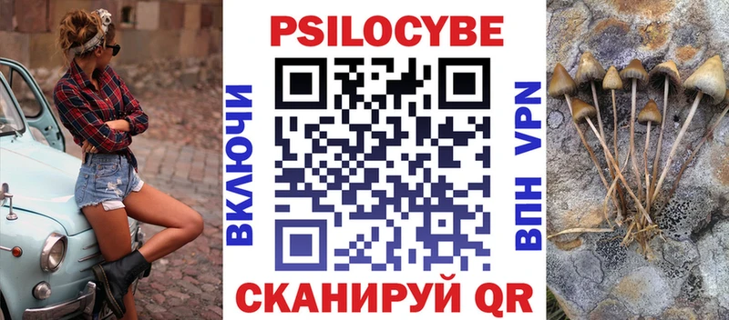 Псилоцибиновые грибы Psilocybe  это наркотические препараты  Москва  где можно купить  